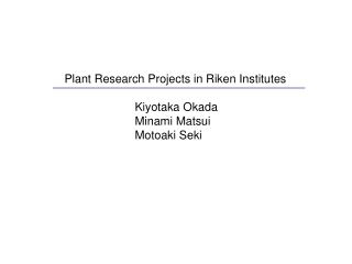 Plant Research Projects in Riken Institutes 		Kiyotaka Okada  		Minami Matsui 		Motoaki Seki