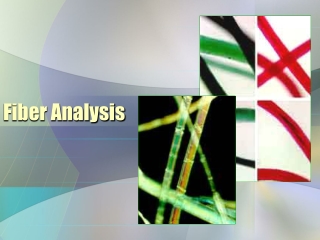 Fiber Analysis