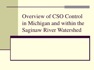 Overview of CSO Control in Michigan and within the Saginaw River Watershed