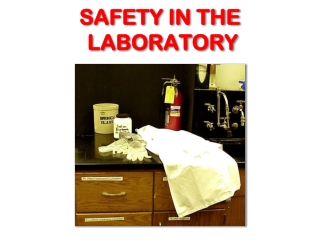 SAFETY IN THE   LABORATORY