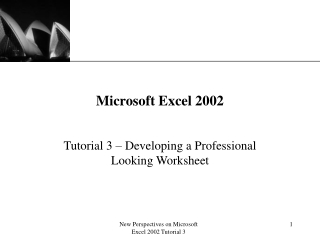 Microsoft Excel 2002