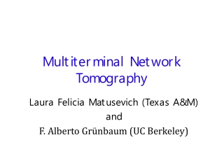 Multiterminal Network Tomography