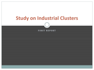 Study on Industrial Clusters