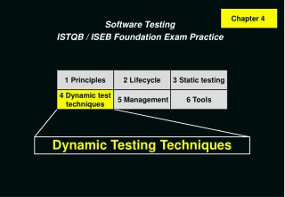 Dynamic Testing Techniques