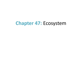 Chapter 47:  Ecosystem