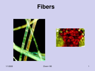 Fibers