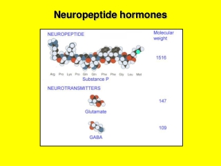 Neuropeptide hormones