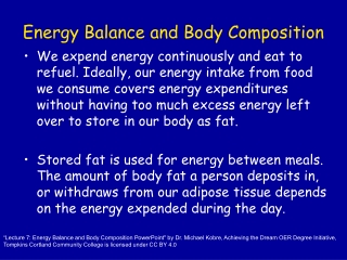 Energy Balance and Body Composition