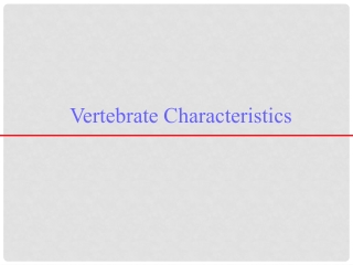 Vertebrate Characteristics