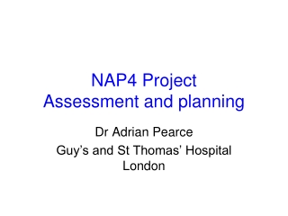 NAP4 Project Assessment and planning