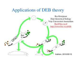 Applications of DEB theory