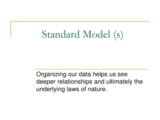 Standard Model (s)