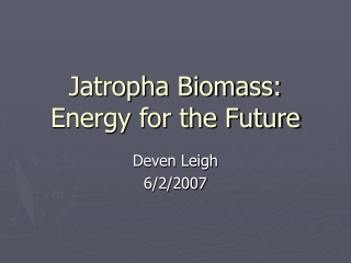 Jatropha Biomass: Energy for the Future