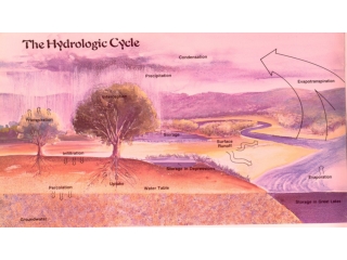 Soil Texture