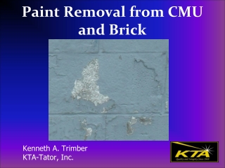 Paint Removal from CMU and Brick