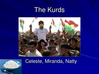 The Kurds