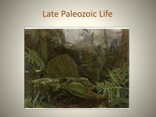 Late Paleozoic Life