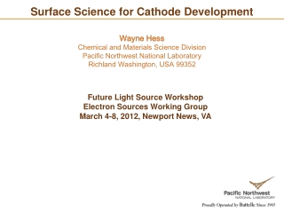 Surface Science for Cathode Development