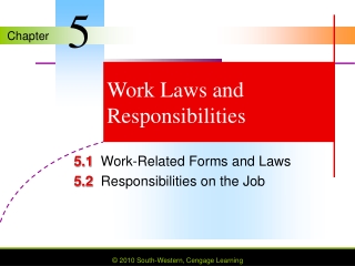 Work Laws and Responsibilities