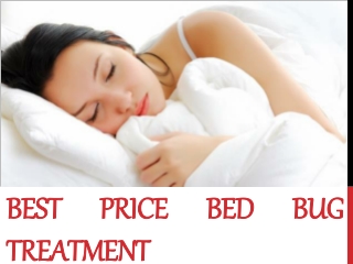 Bed bug treatment Chicago for quick bed bug removable