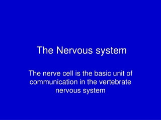 The Nervous system