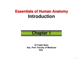 Essentials of Human Anatomy Introduction