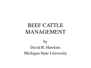 BEEF CATTLE MANAGEMENT