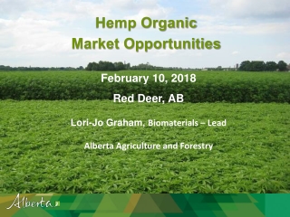 Hemp Organic Market Opportunities