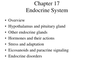 Chapter 17  Endocrine System