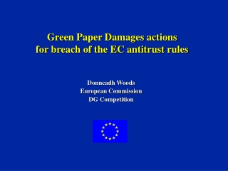 Green Paper Damages actions for breach of the EC antitrust rules