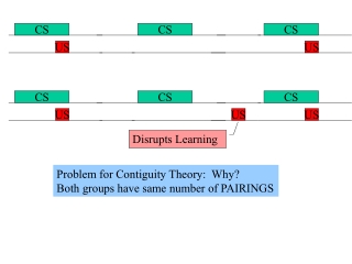 Disrupts Learning