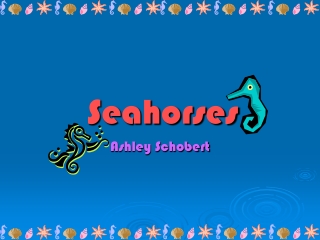 Seahorses