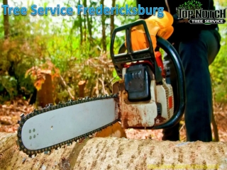 Tree Service Fredericksburg