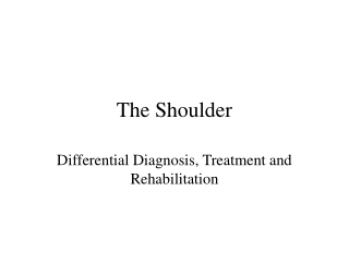 The Shoulder