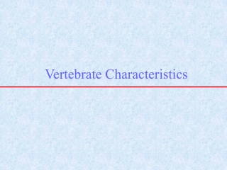 Vertebrate Characteristics