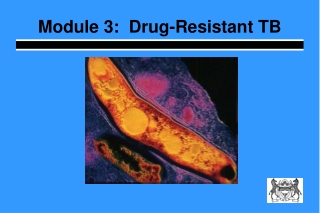 Module 3:  Drug-Resistant TB