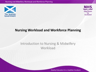 Nursing Workload and Workforce Planning