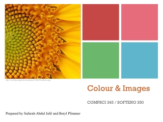 Colour &amp; Images