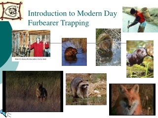 Introduction to Modern Day  Furbearer Trapping