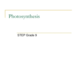 Photosynthesis