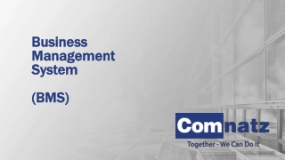 Business Management System (BMS)