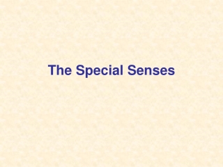 The Special Senses