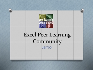 Excel Peer Learning Community