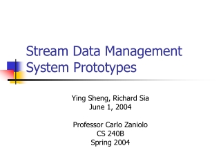 Stream Data Management System Prototypes