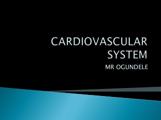 CARDIOVASCULAR SYSTEM