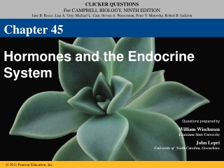 Hormones and the Endocrine System