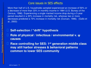 Core issues in SES effects