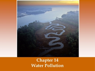 Chapter 14 Water Pollution