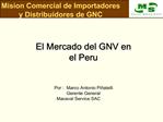 Mision Comercial de Importadores y Distribuidores de GNC