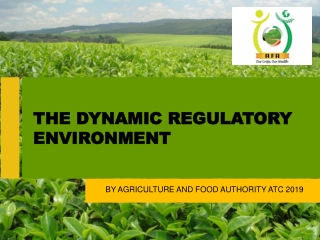 THE DYNAMIC REGULATORY ENVIRONMENT